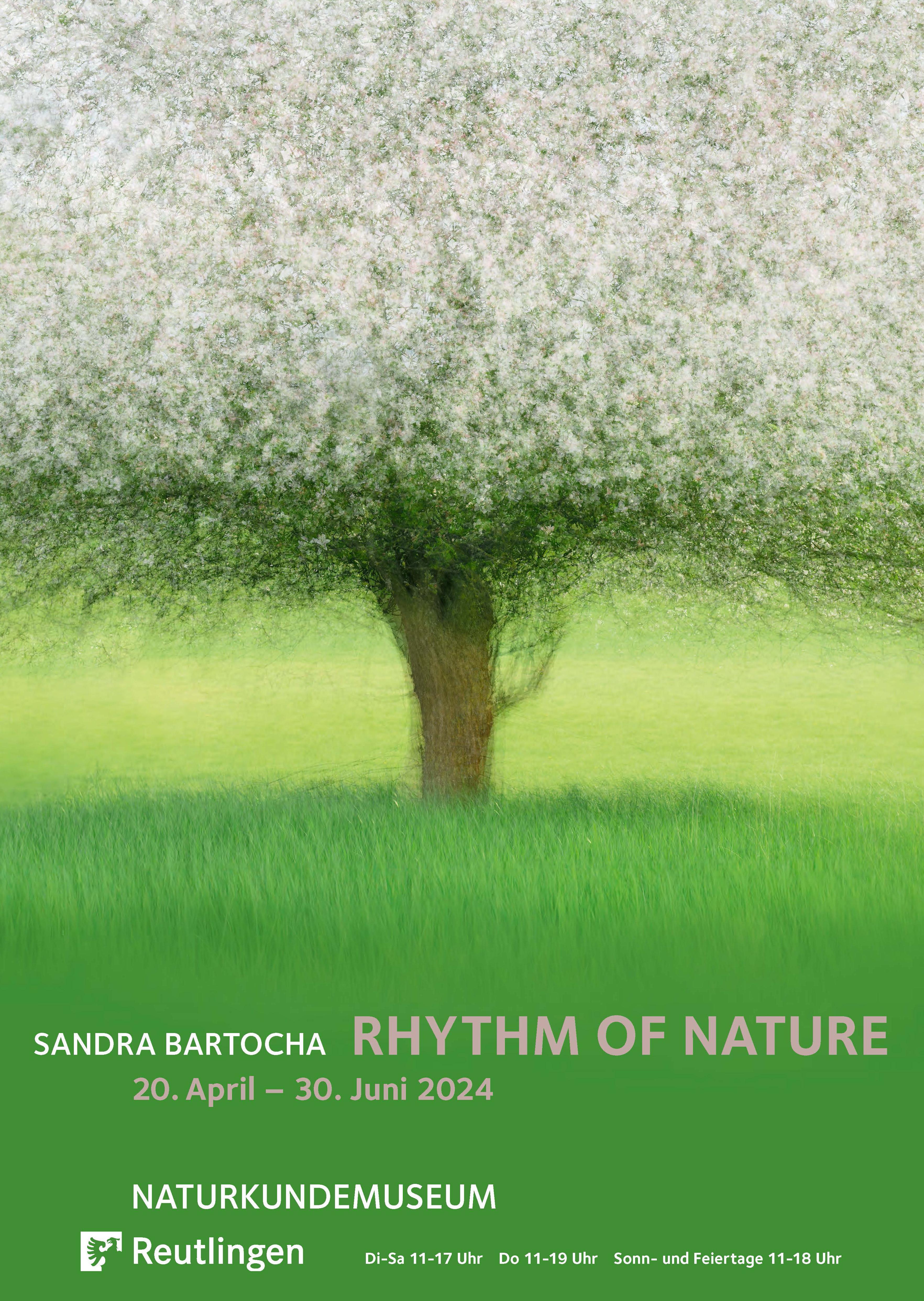 Rhythm of Nature - Fotografien von Sandra Bartocha