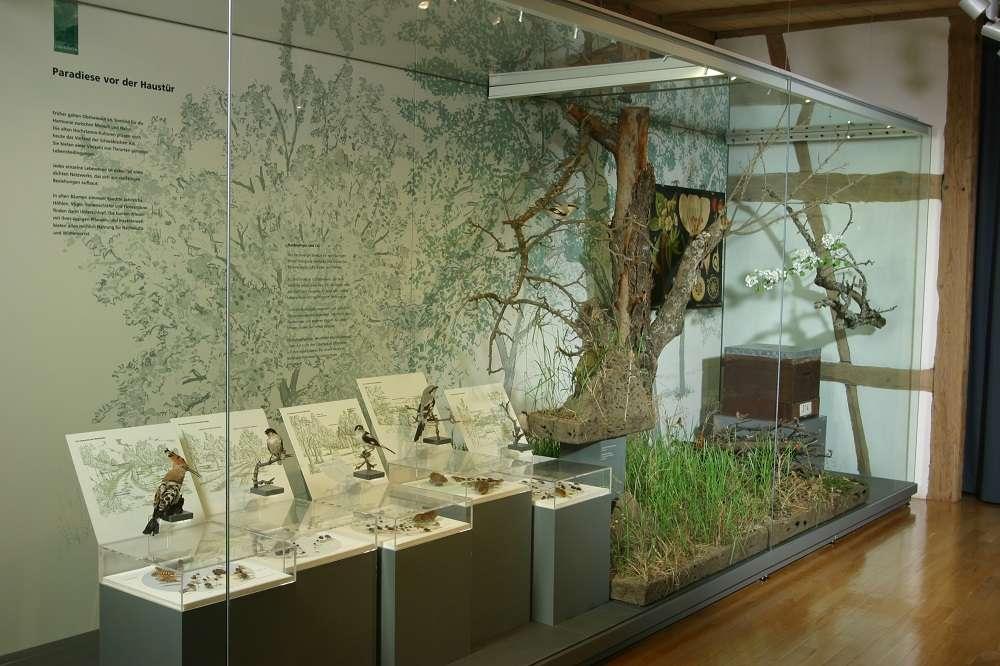 Naturkundemuseum 5