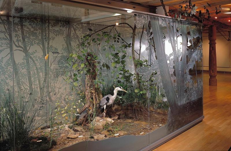 Naturkundemuseum Reutlingen 1