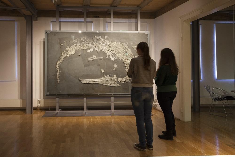 Naturkundemuseum Reutlingen 2