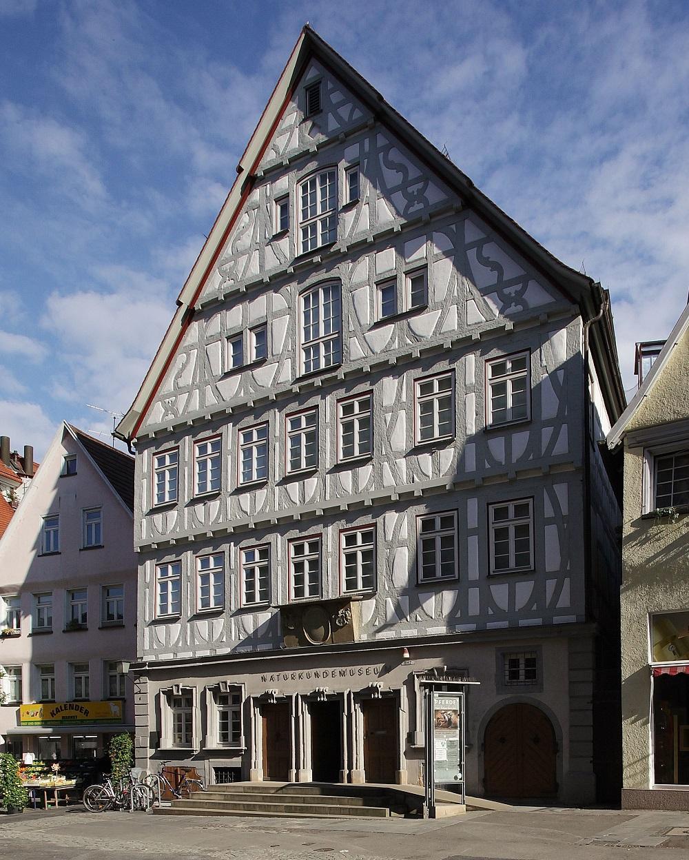 Naturkundemuseum Reutlingen 3