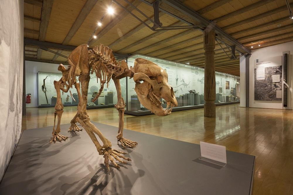 Naturkundemuseum Reutlingen 4