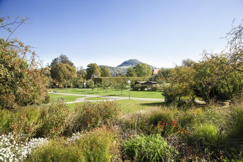 Pomologie und Volkspark 1
