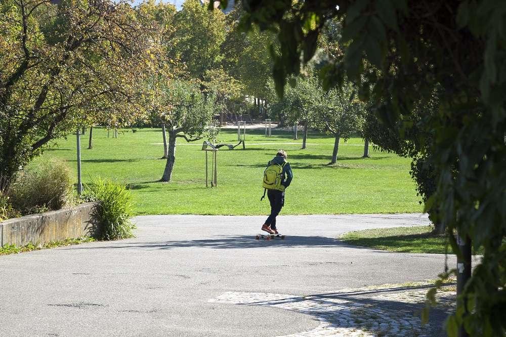 Pomologie und Volkspark 2